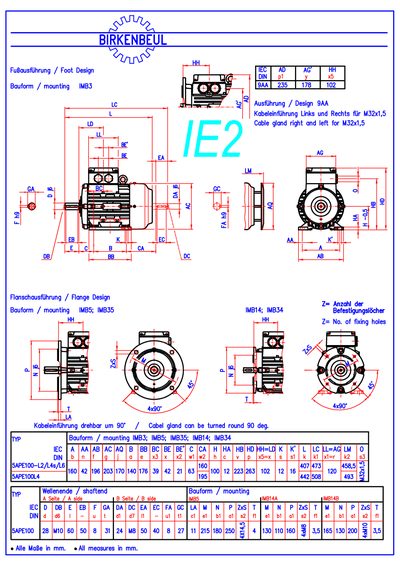 Birkenbeul 5APE100 5APE100L4 5APE100-L2/L4s/L6 technology data - cover page
