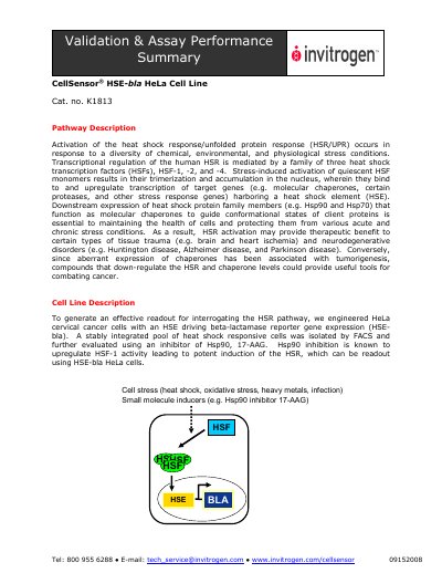 Invitrogen CellSensor HSE-bla HeLa Cell Line Validation Summary - cover page