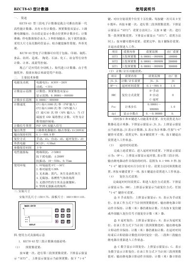 BZCT BZCT8-63 Counter User Manual - cover page