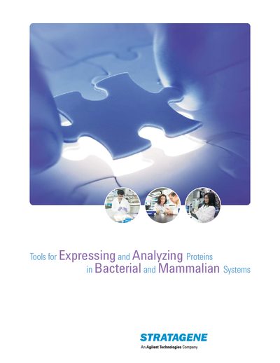 Stratagene Tools for Expressing and Analyzing Proteins in Bacterial and Mammalian Systems Product Brochure - cover page