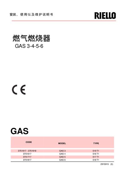 Riello GAS 3-4-5-6 Service Manual - cover page