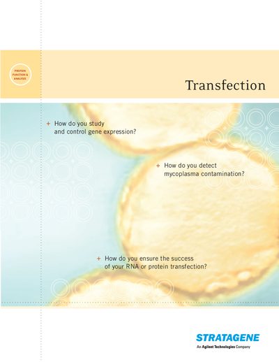 Stratagene Transfection and Mycoplasma Detection Product Guide - cover page